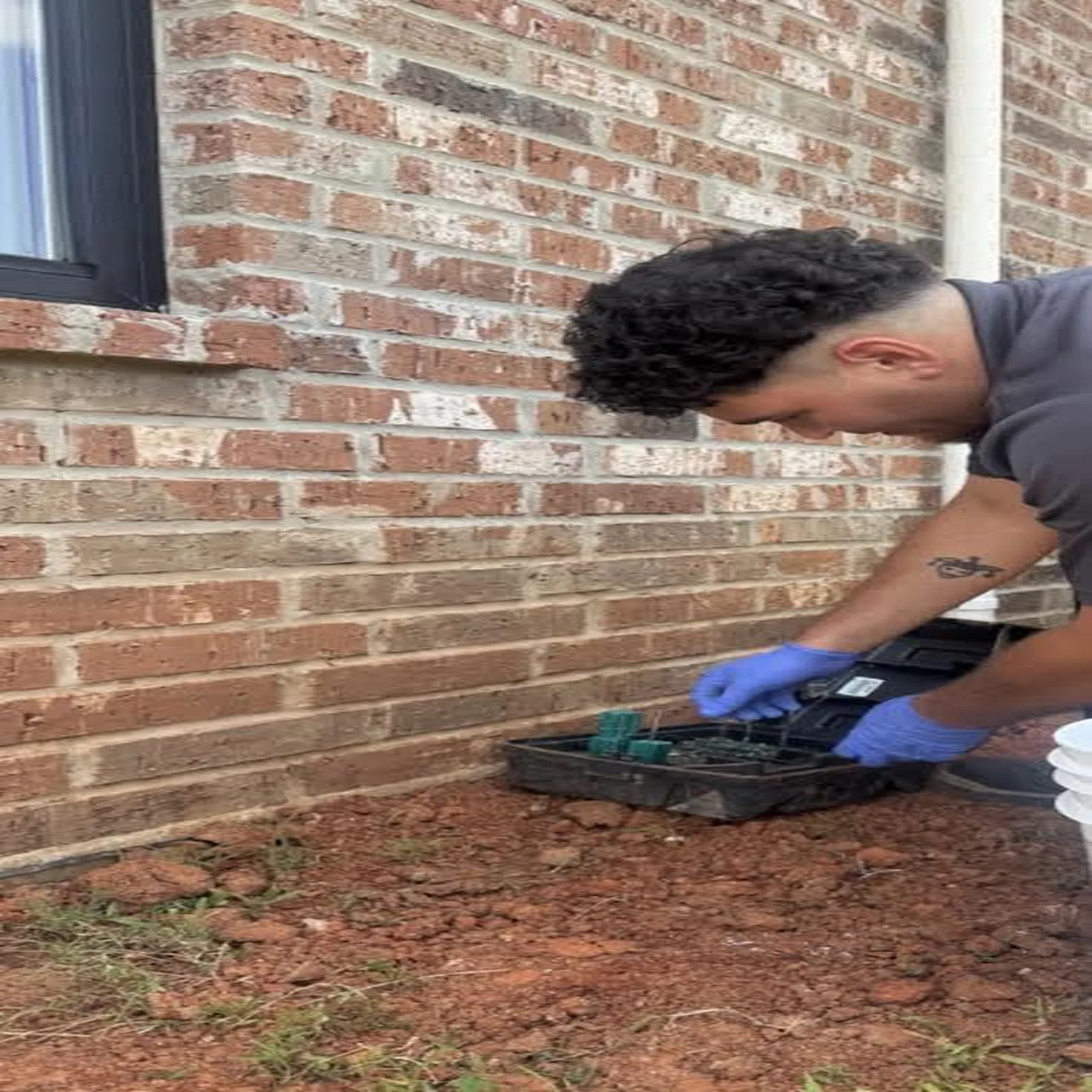 Rodent Control